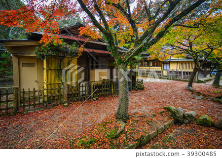 Autumn scenery in Nara, Japan Autumn scenery in Nara, Japan 39300485