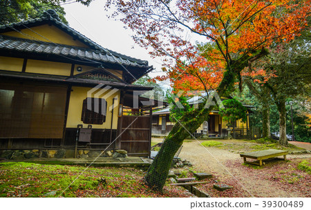 Autumn scenery in Nara, Japan 39300489