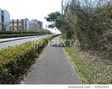 Sidewalk Sidewalk 39302091