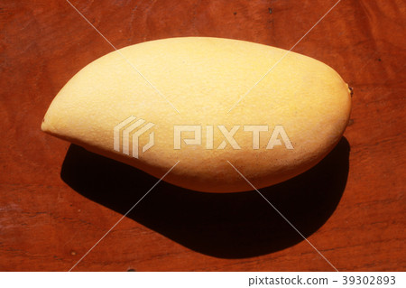 yellow ripen fresh sweet mangoes fruit orchard 39302893