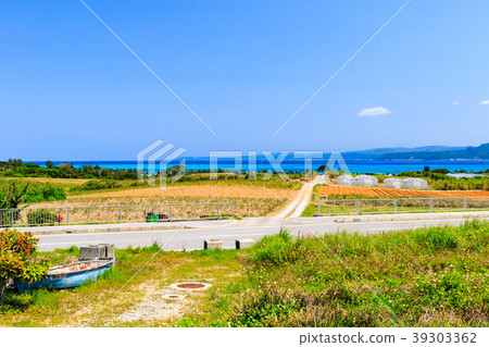 沖繩八幡島 39303362