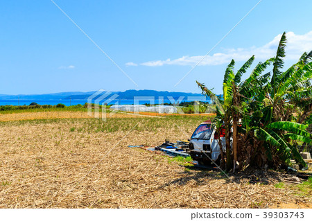 Okinawa Yagachi Island 39303743