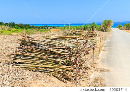 Okinawa Yagachi Island 39303744