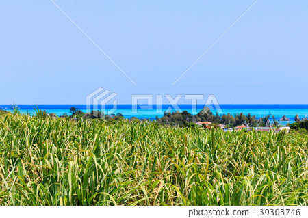 沖繩八幡島 39303746