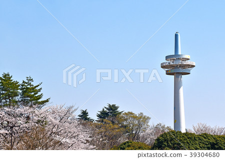 廣播塔和櫻花（所澤飛機紀念公園） 39304680