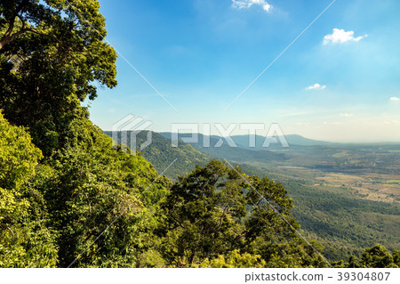 tropical forest landscape 39304807