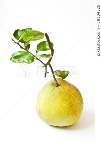 Pomelo fruit with leaves isolated on white 39304829