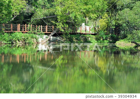 美麗的鄉村水塘在台灣寶山鄉寶山鄉油田村雞油凸的農塘步道 美麗的鄉村水塘在台灣寶山鄉寶山鄉油田村雞油凸的農塘步道 39304934