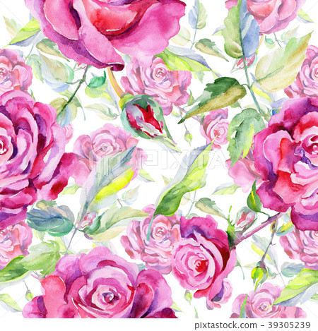 Wildflower rose flower pattern in a watercolor Wildflower rose flower pattern in a watercolor 39305239