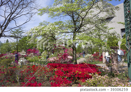 Park in the city 39306259