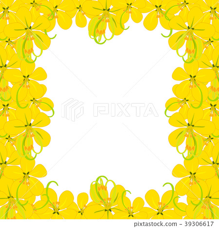 Yellow Cassia Fistula - Golden Shower Flower 39306617