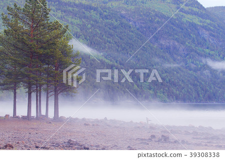 Morning norwegian landscape Morning norwegian landscape 39308338