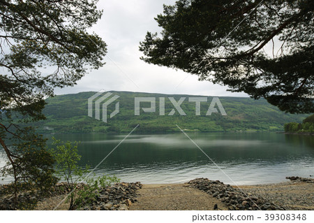 Morning norwegian landscape Morning norwegian landscape 39308348