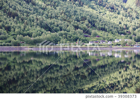Mountain forest with reflection Mountain forest with reflection 39308373