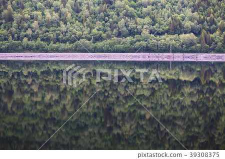 Mountain forest with reflection Mountain forest with reflection 39308375