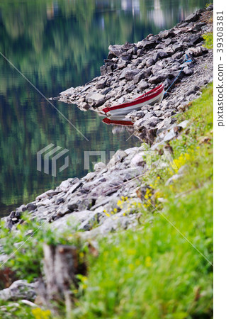 Summer Norway landscape 39308381
