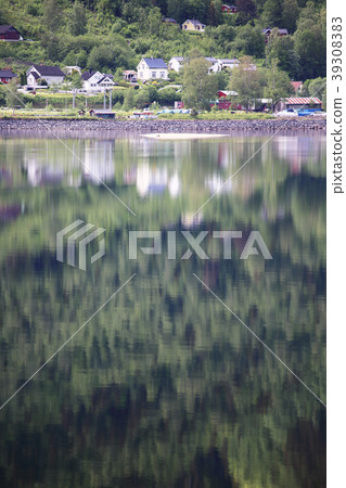 Mountain forest with reflection Mountain forest with reflection 39308383