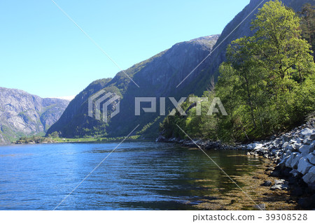Fjord and mountains 39308528