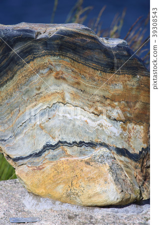 Mylonite (metamorphic rock) Mylonite (metamorphic rock) 39308543