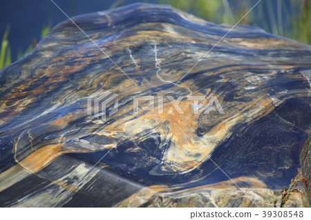 Mylonite (metamorphic rock) 39308548