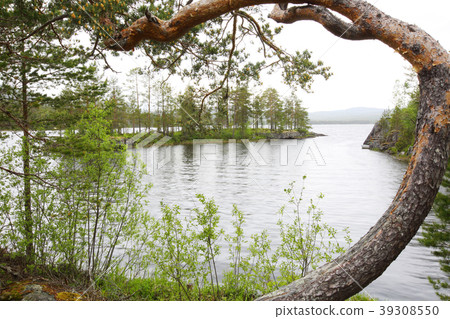 Tinnsja lake, Norway 39308550