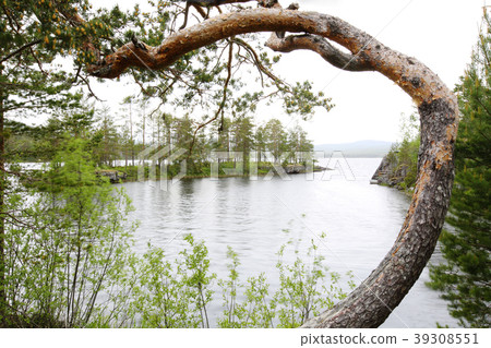 Tinnsja lake, Norway Tinnsja lake, Norway 39308551