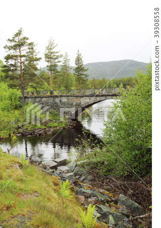 Tinnsja lake and bridge, Norway 39308558