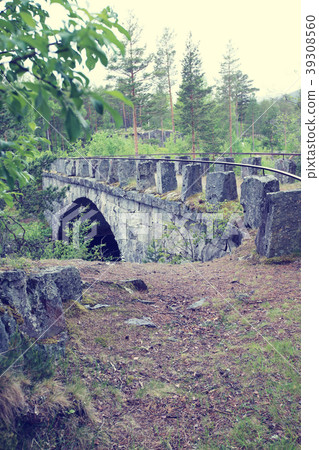 Old bridge in forest Old bridge in forest 39308560
