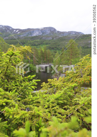 Tinnsja lake, Norway Tinnsja lake, Norway 39308562
