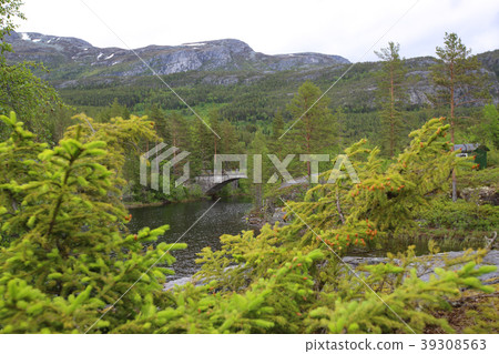 Tinnsja lake, Norway Tinnsja lake, Norway 39308563