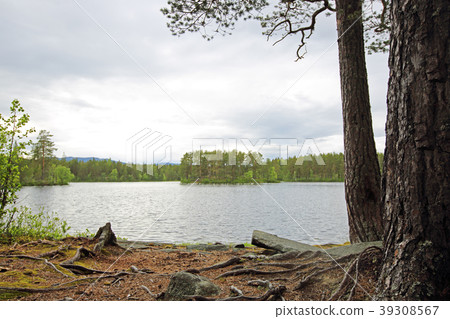 Tinnsja lake, Norway Tinnsja lake, Norway 39308567