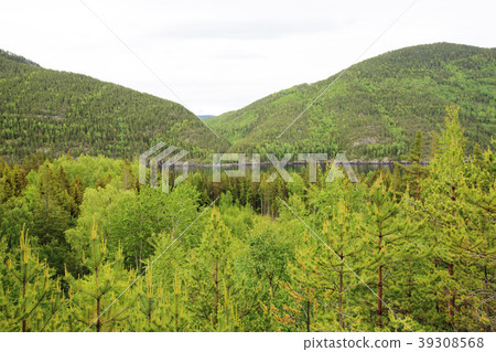 Tinnsja lake, Norway Tinnsja lake, Norway 39308568