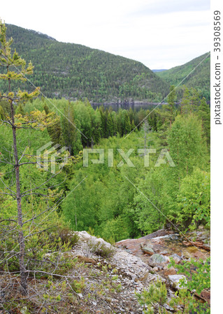 Tinnsja lake, Norway Tinnsja lake, Norway 39308569