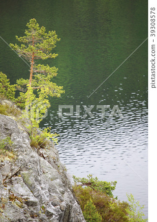 Tinnsja lake, Norway 39308578