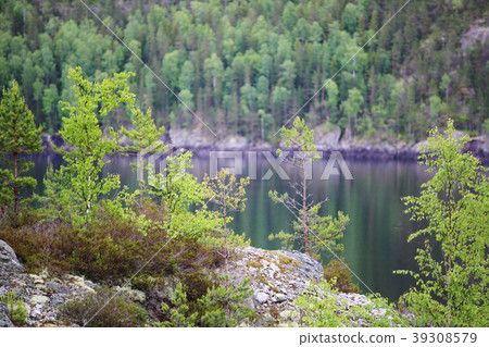 Tinnsja lake, Norway Tinnsja lake, Norway 39308579