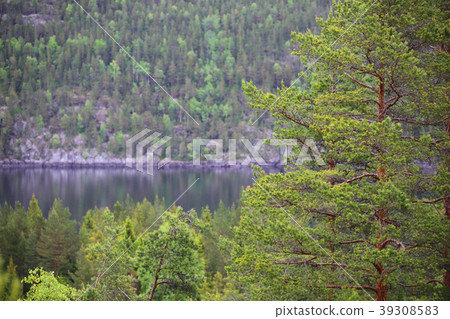 Tinnsja lake, Norway Tinnsja lake, Norway 39308583