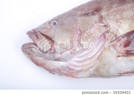 Mahatha（Takaba） 39309401