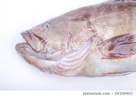 Mahatha (Takaba) 39309402