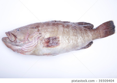 Mahatha (Takaba) 39309404