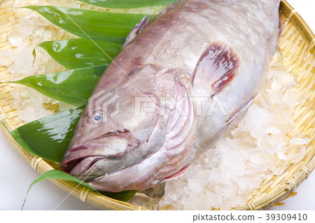 Mahatha (Takaba) 39309410