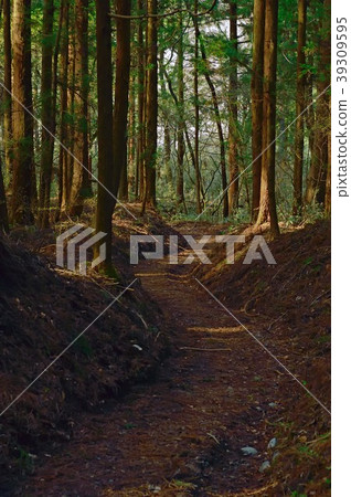 群馬縣Atsatsuma-gun Iwatei Iwata Castle 39309595