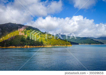 Marlborough Sounds, New Zealand 39309658
