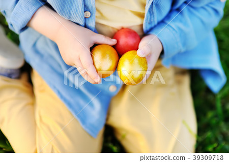 little boy hunting for easter egg little boy hunting for easter egg 39309718