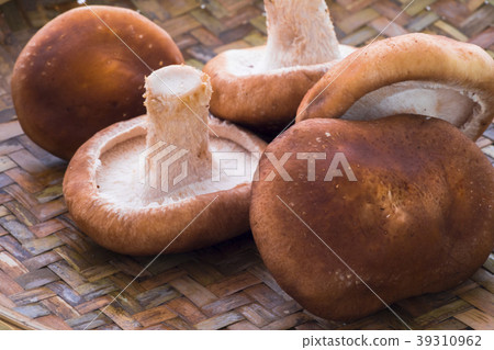 香菇,生香菇,キノコ、生キノコ、Mushrooms, raw mushrooms, 香菇,生香菇,キノコ、生キノコ、Mushrooms, raw mushrooms, 39310962