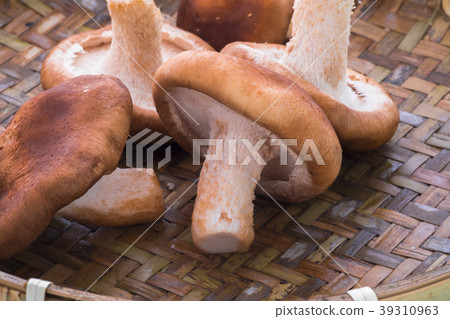 香菇,生香菇，キノコ、生キノコ、Mushrooms, raw mushrooms, 39310963