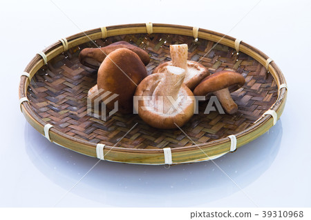 香菇,生香菇,キノコ、生キノコ、Mushrooms, raw mushrooms, 香菇,生香菇,キノコ、生キノコ、Mushrooms, raw mushrooms, 39310968