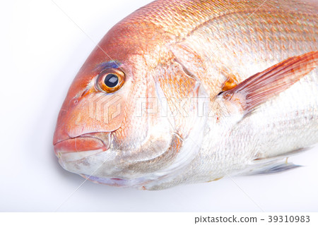 Food ingredients 39310983