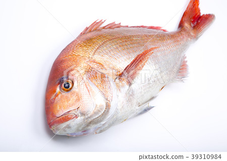 食品配料 39310984