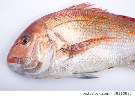 食品配料 食品配料 39310985