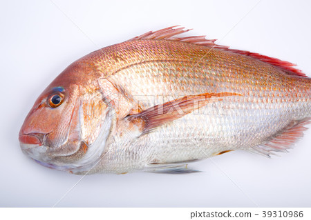 食品配料 39310986